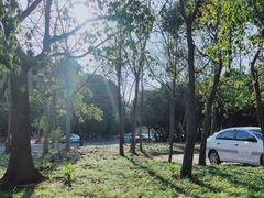 -胜华驾校·小猫学车(银都店)