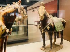 -西安大唐西市博物馆