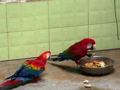 -石家庄市动物园