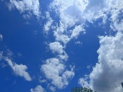 -天鹅湖体育公园