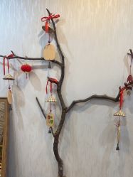 -小红帽摄影(丽江店)