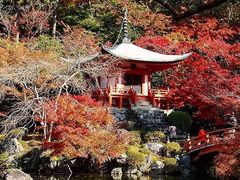 -醍醐寺