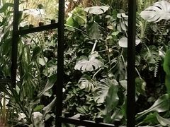-大头椰·椰子鸡火锅(南宁万象城店)