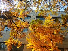 -中国石油大学（北京）(北京西校区)
