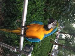 那家小馆(中关村店)-那家小馆•北京菜•烤鸭(中关村店)