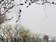 -颐和园