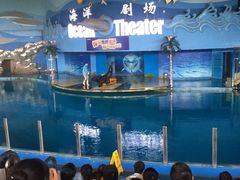 -苏州海洋馆
