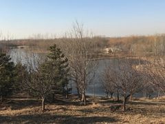 -东郊湿地公园