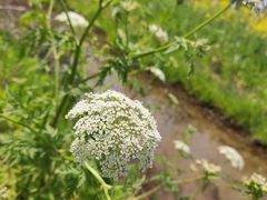 -漩门湾国家湿地公园