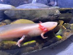 -Zoolung Zoolung动物主题公园(海信广场店)