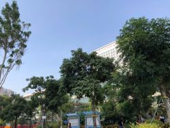 -深圳市宝安区妇幼保健院