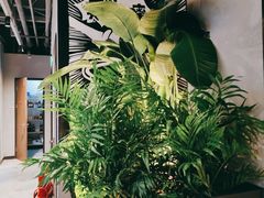 -管氏翅吧(台湾街店)