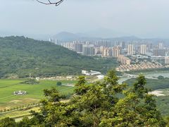 -风云岭森林公园