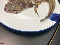 -吴记富苑(朝阳店)