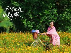 -长广溪湿地公园