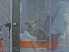 -宠物家(长阳店)
