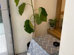-王守财小山園