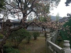 -司徒庙