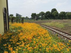 -歌斐颂巧克力小镇