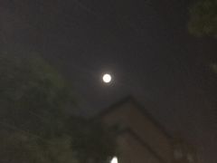 -东园小馆·早茶·淮扬小炒(印象汇店)