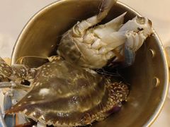 -九月海·海鲜自助(世纪东方店)