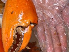 -喜记避风塘炒辣蟹(旗舰店)