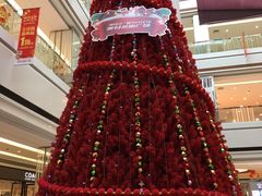 -猫屎咖啡(海印又一城店)