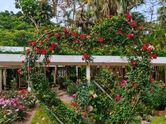 -人民公园(罗湖区)