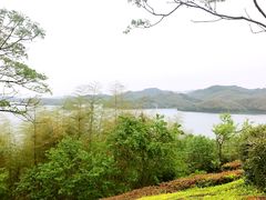 景点-天目湖涵田半山温泉