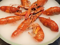 -红盔甲·小龙虾(崂山路店)