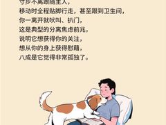 -立德24H动物医院·夜诊·转诊中心·1.5T核磁共振(海珠店)
