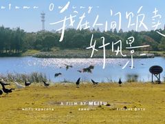 -东平国家森林公园