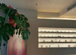 -芳香乐府疗愈空间·SPA·冥想