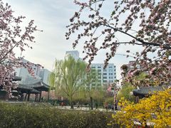 -元大都城垣遗址公园