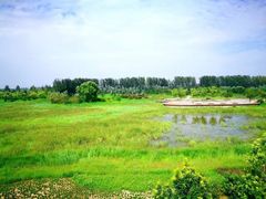 -东郊湿地公园