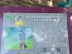 -北京上方山国家森林公园