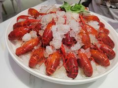 -靓蛙馆