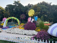 -上海共青森林公园