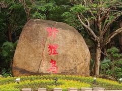 -野狸岛