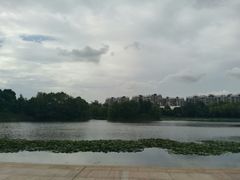 -新江湾城公园