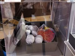 -ROSEONLY诺誓(广州K11店)