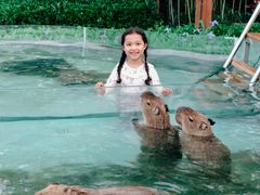 -郑州银基黄帝宫御温泉