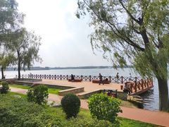 -丁香湖公园