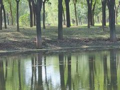 -东郊湿地公园