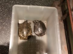 -上名堂·鱼头好吃(体育场路店)