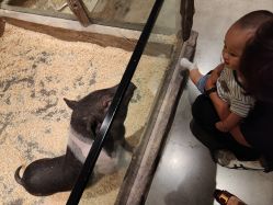 -造物庄园 萌宠纪(苏州湾歌林公园店)