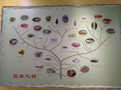 -上海昆虫博物馆