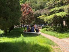 -北京大学-燕南食堂