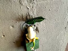 -顶顶香(金花南路店)