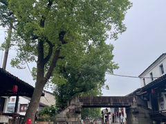 -绍兴古城